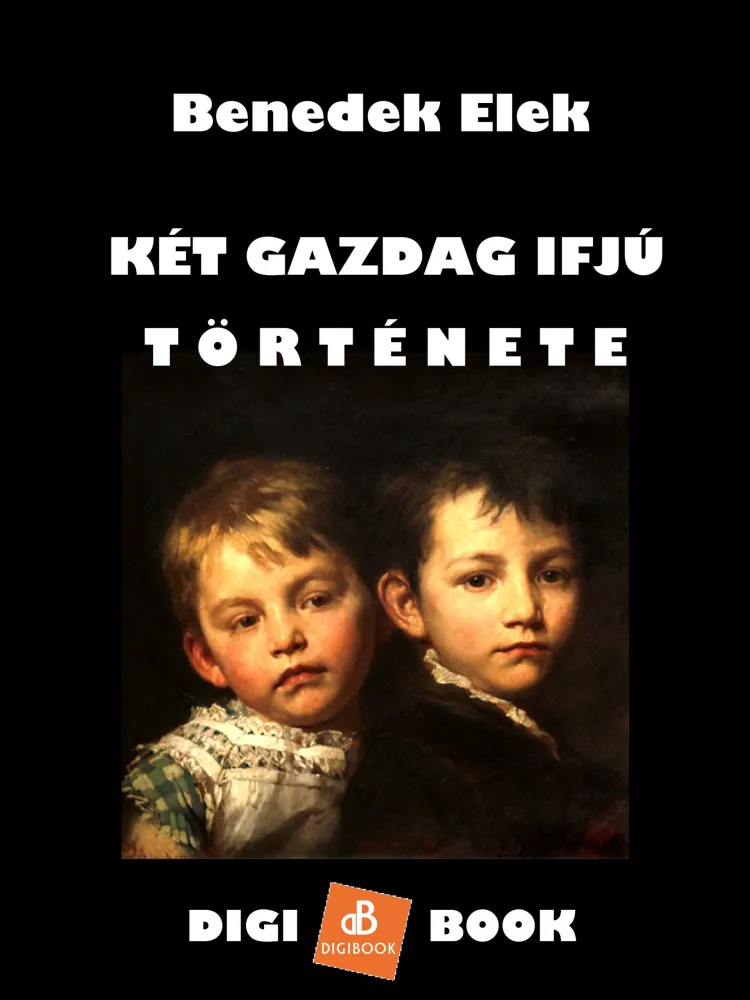 Két gazdag ifjú története borító