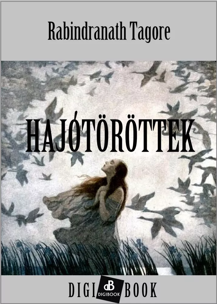 Hajótöröttek borító