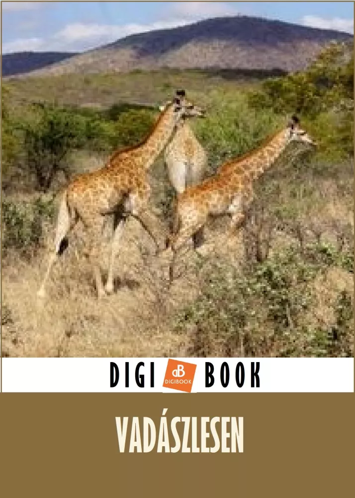 Vadászlesen borító