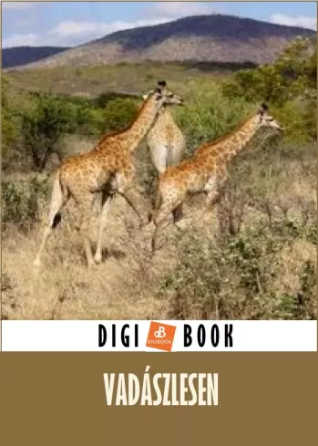 Vadászlesen borító