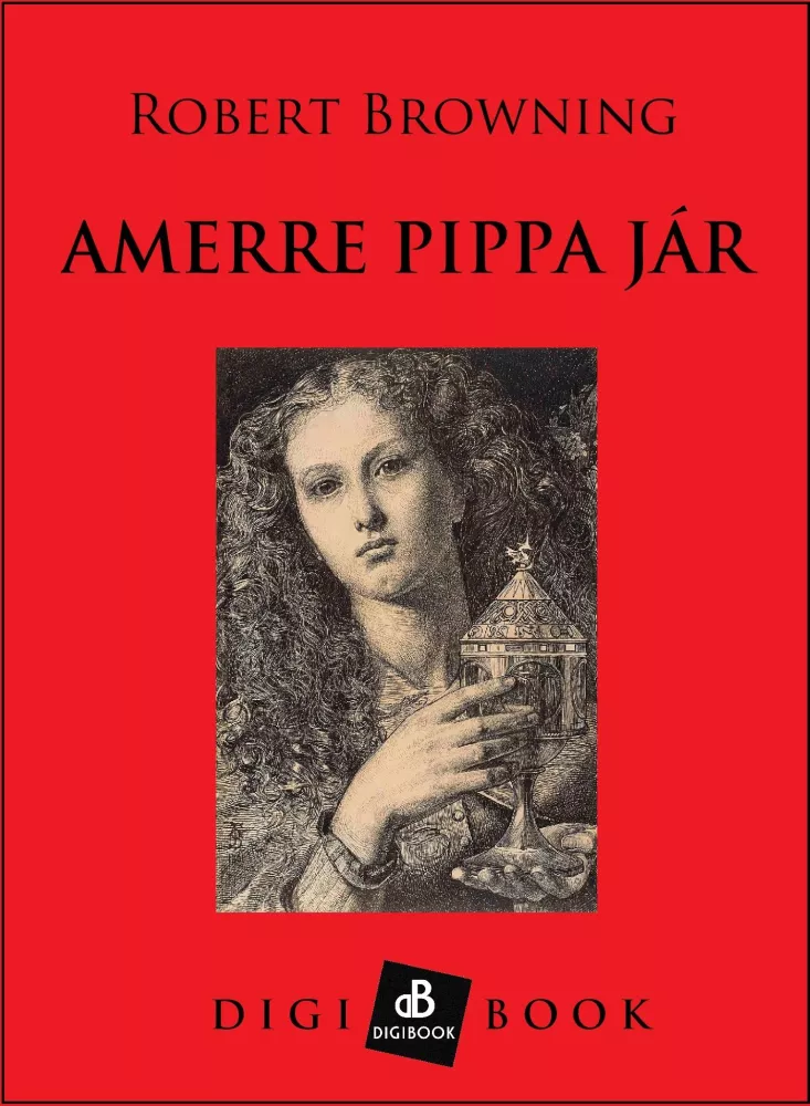 Amerre Pippa jár borító