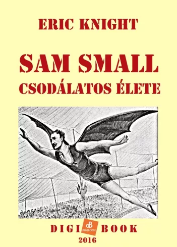 Sam Small csodálatos élete