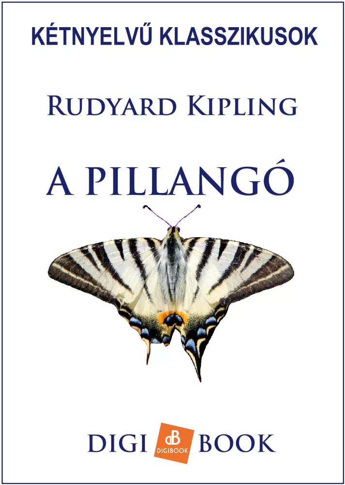 A pillangó borító