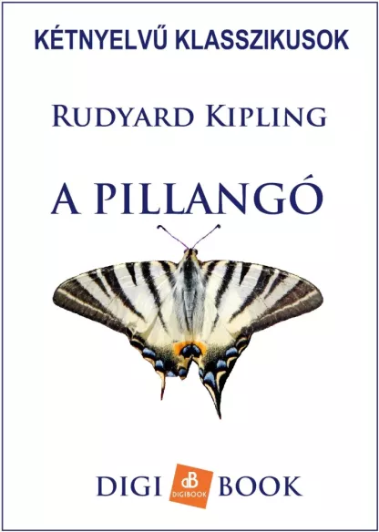 A pillangó borító