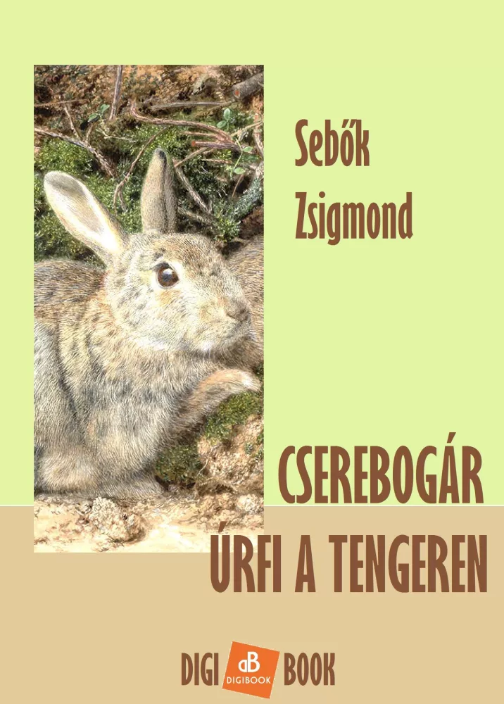 Cserebogár úrfi a tengeren borító