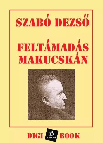 Feltámadás Makucskán borító
