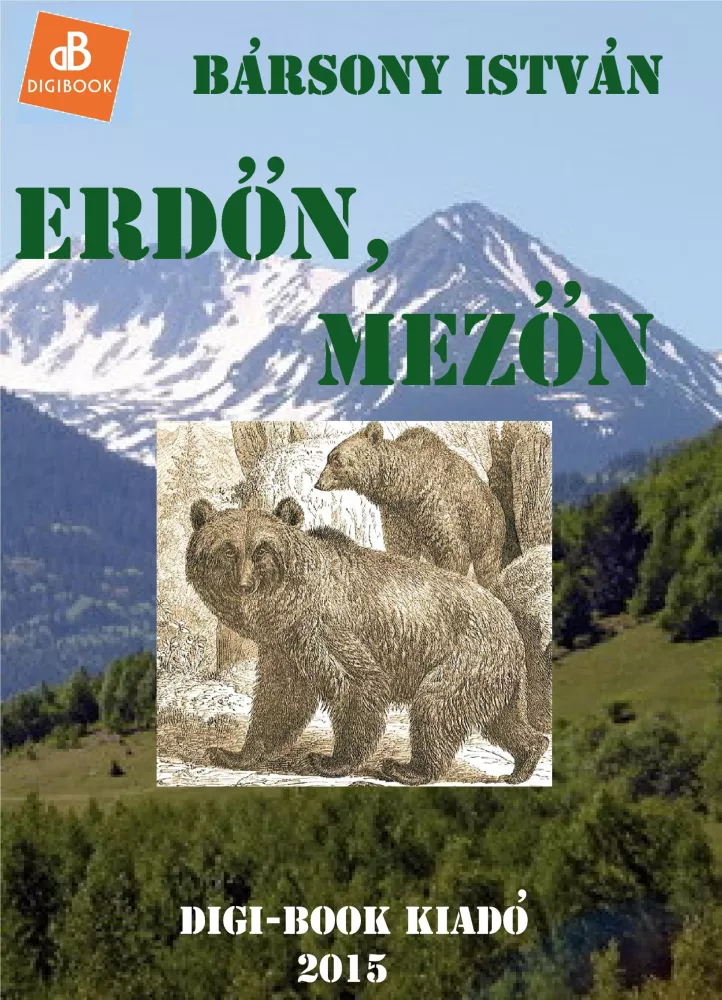Erdőn, mezőn borító