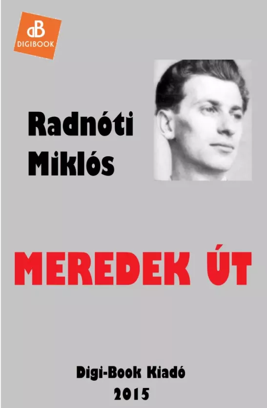 Meredek út borító