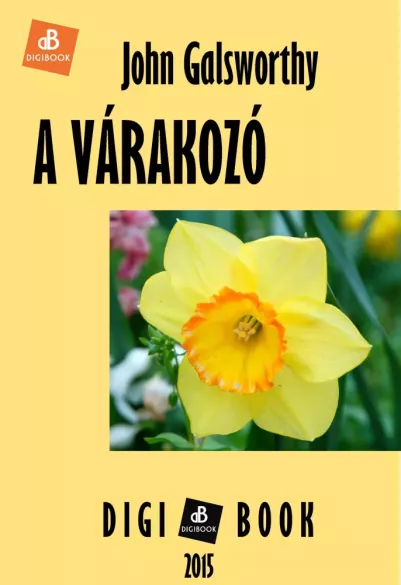 A várakozó borító