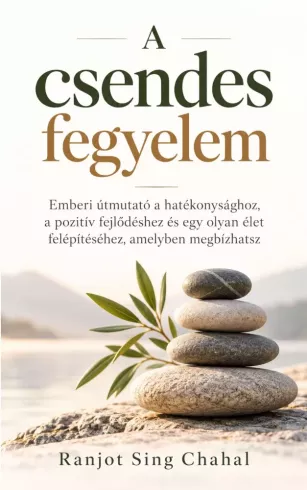 A csendes fegyelem