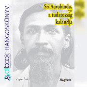 Sri Aurobindo avagy a tudatosság kalandja I. kötet