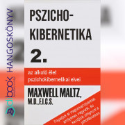 Pszichokibernetika 2