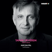 Tanár úr kérem