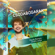 Csodabogarak