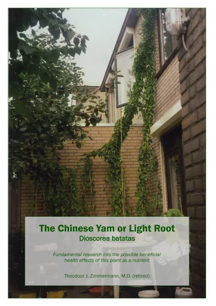 The Chinese Yam or Light Root Dioscorea batatas