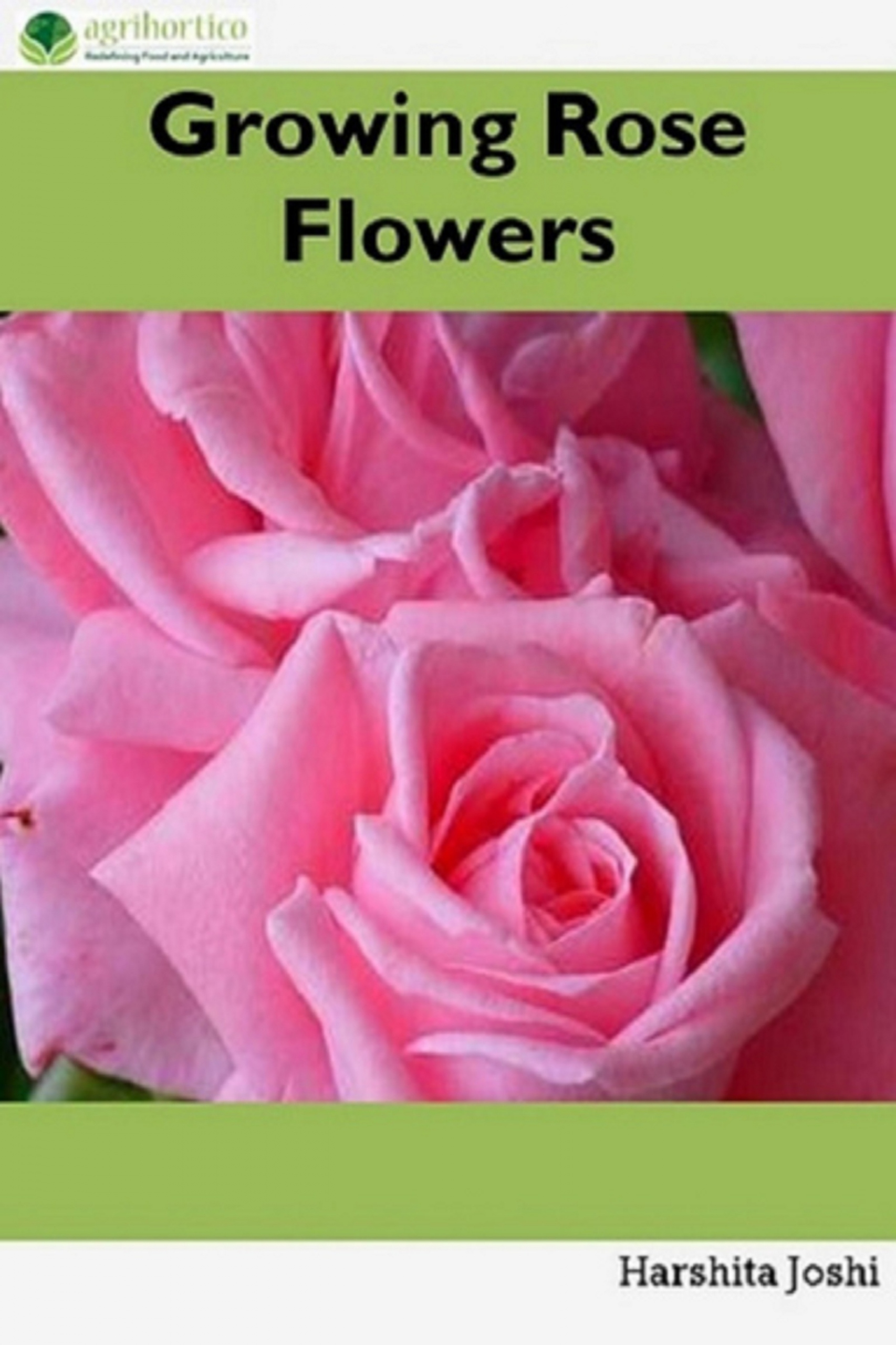 Growing Rose Flowers