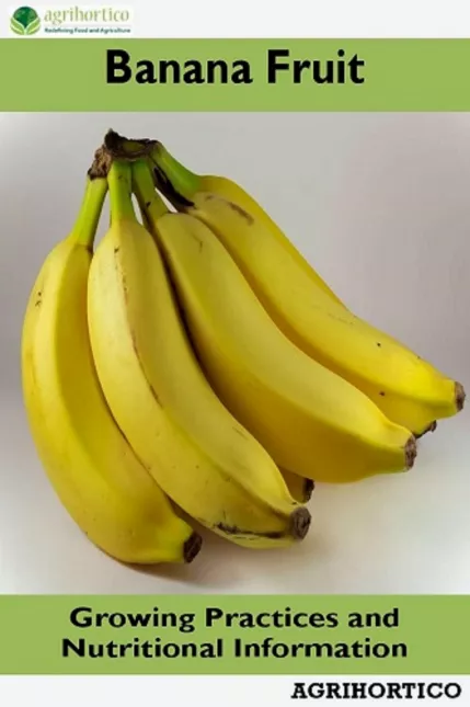 Banana Fruit