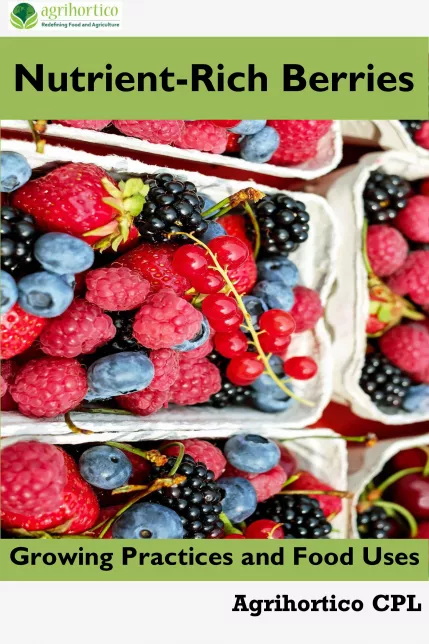 Nutrient-Rich Berries