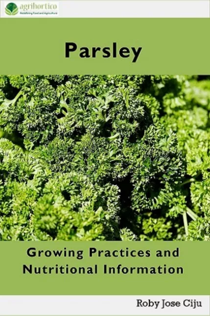 Parsley