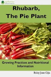 Rhubarb, the Pie Plant