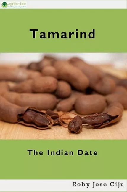 Tamarind