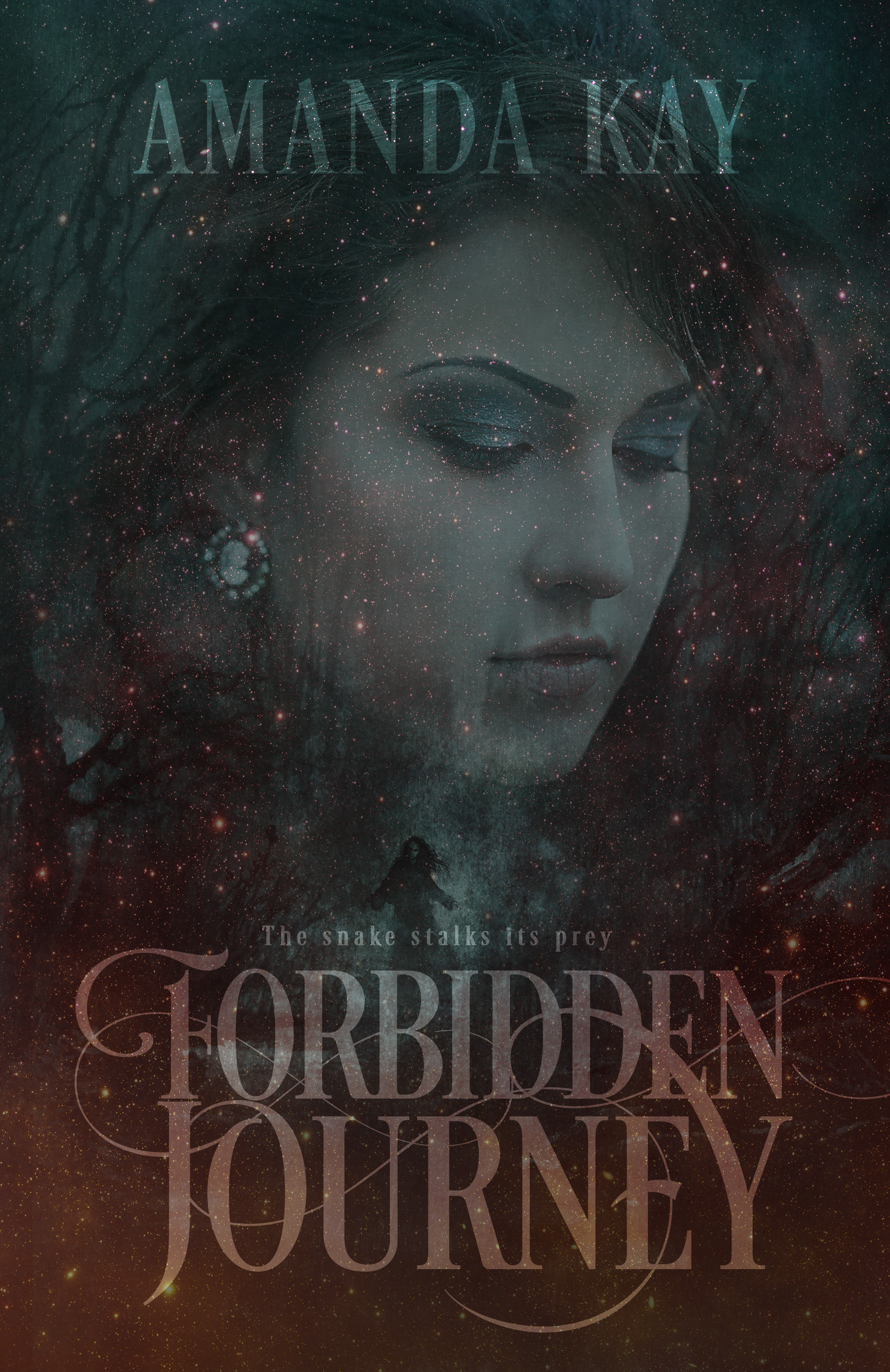 Forbidden Journey