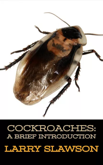 Cockroaches