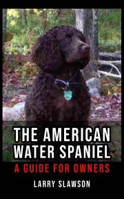 The American Water Spaniel