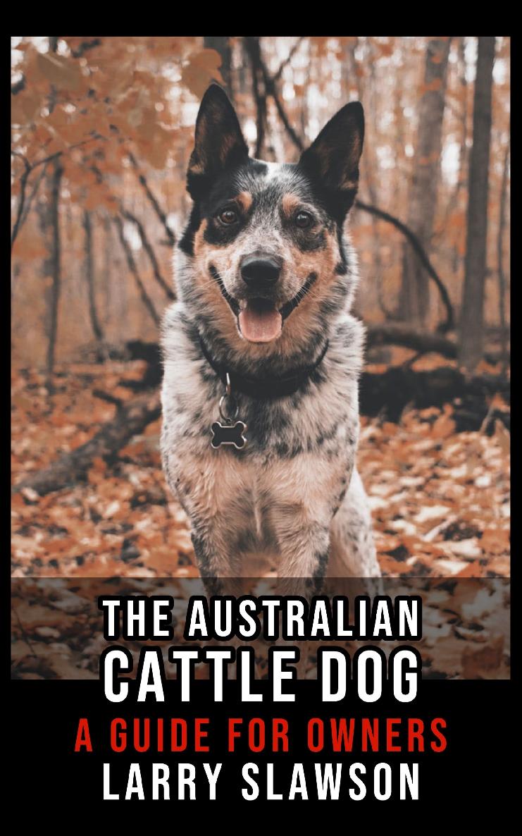 The Australian Cattle Dog