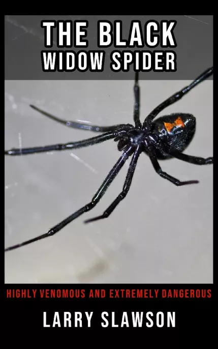 The Black Widow Spider