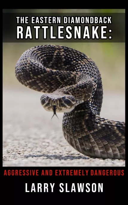 The Eastern Diamondback Rattlesnake