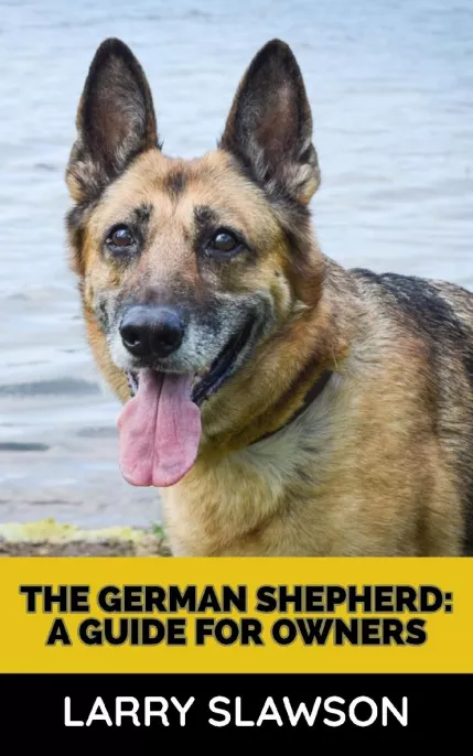 The German Shepherd