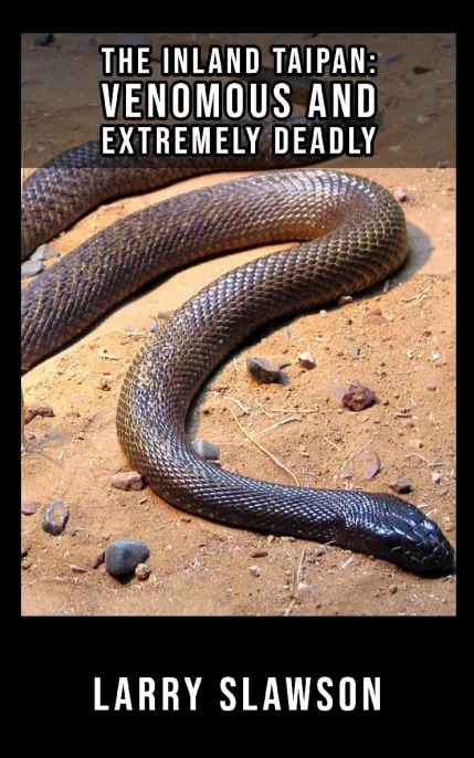 The Inland Taipan