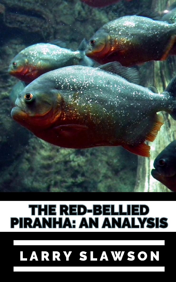 The Red-Bellied Piranha