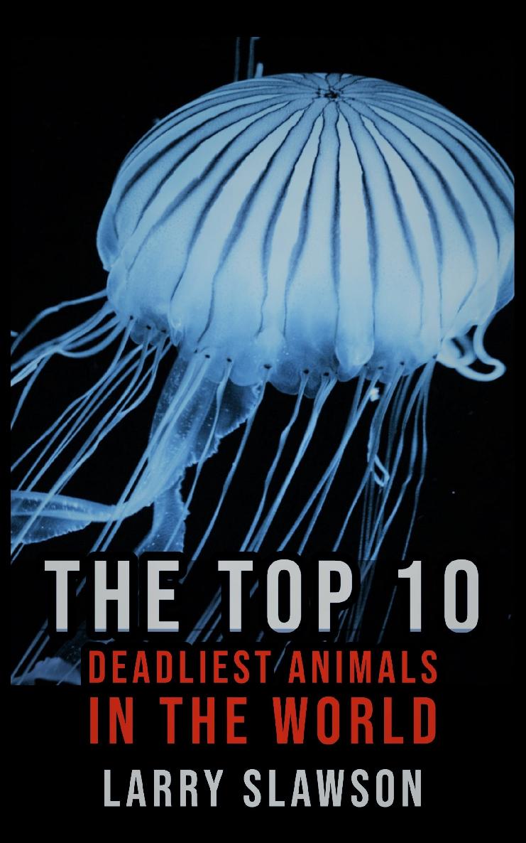 The Top 10 Deadliest Animals in the World