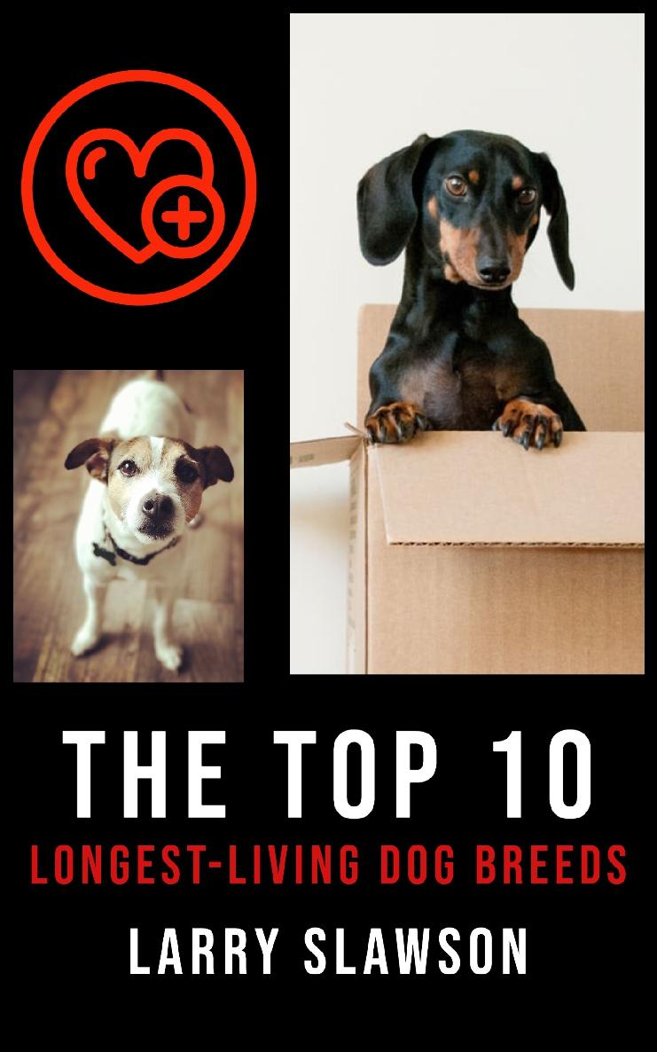 The Top 10 Longest-Living Dog Breeds