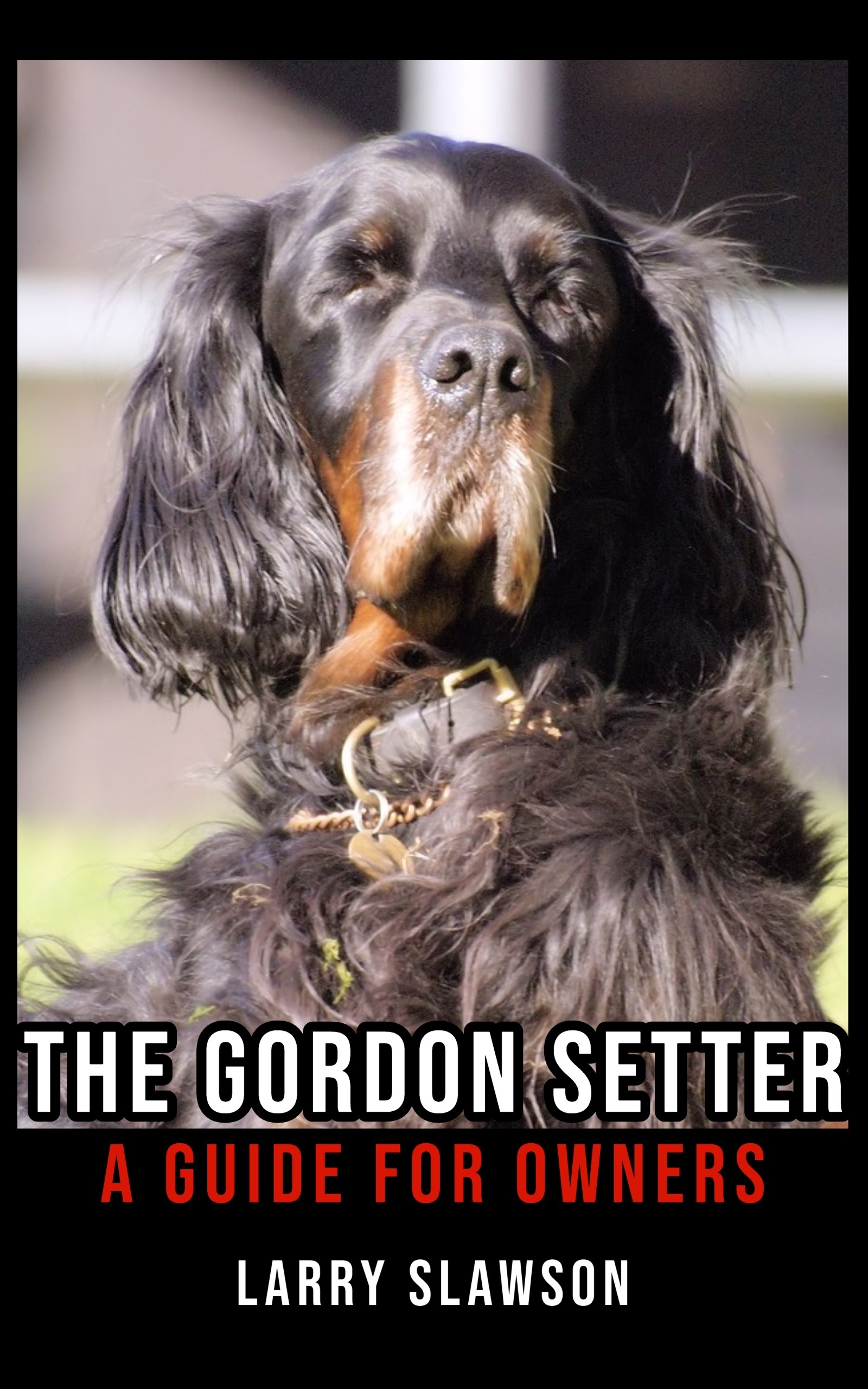 The Gordon Setter