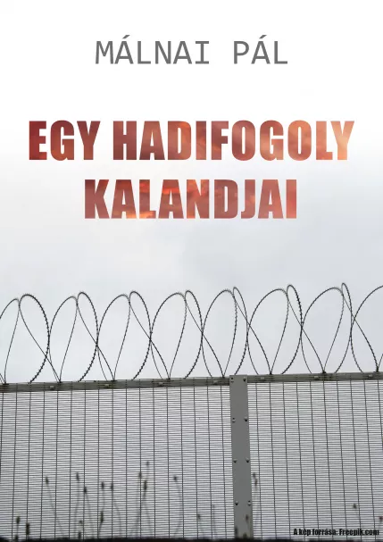 Egy hadifogoly kalandjai