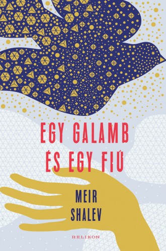 Egy galamb és egy fiú