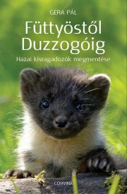 Füttyöstől Duzzogóig 