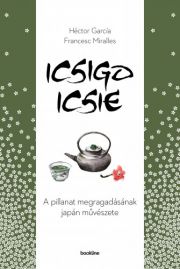 Icsigo-icsie