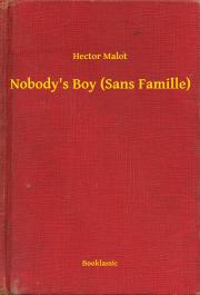 Nobody"s Boy (Sans Famille)