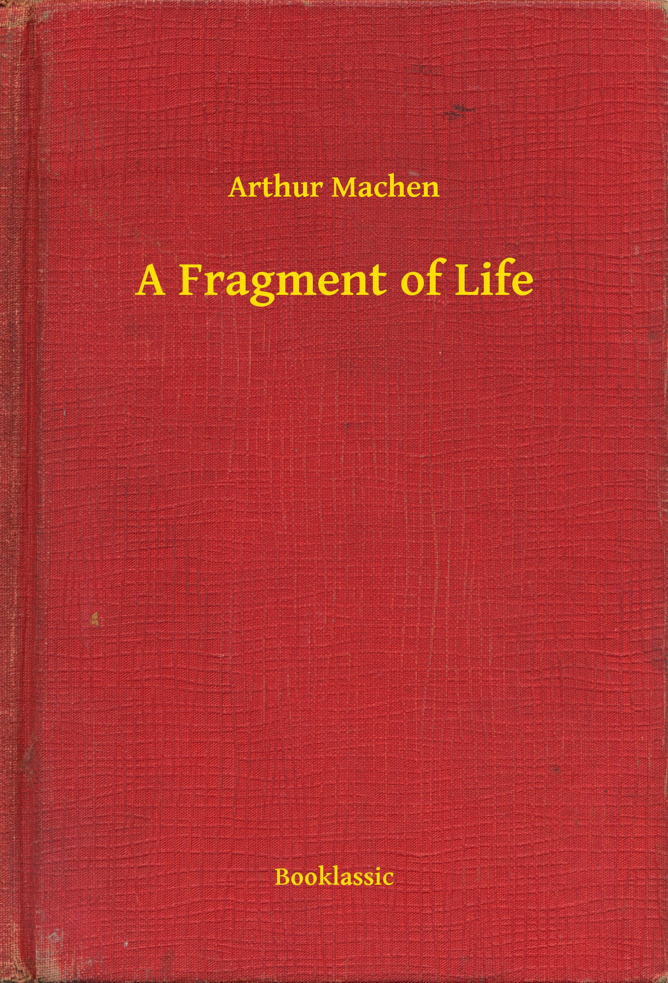 A Fragment of Life