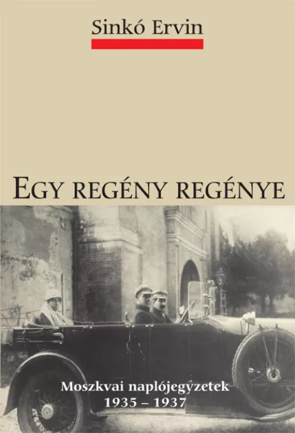 Egy regény regénye